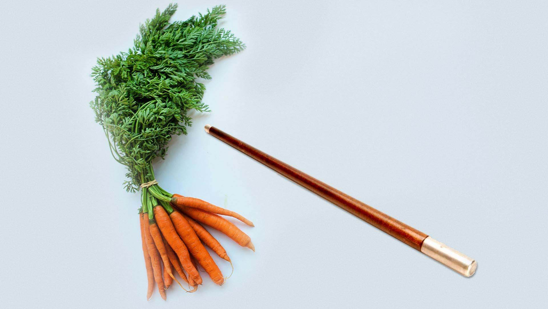 Carrot & Stick Approach