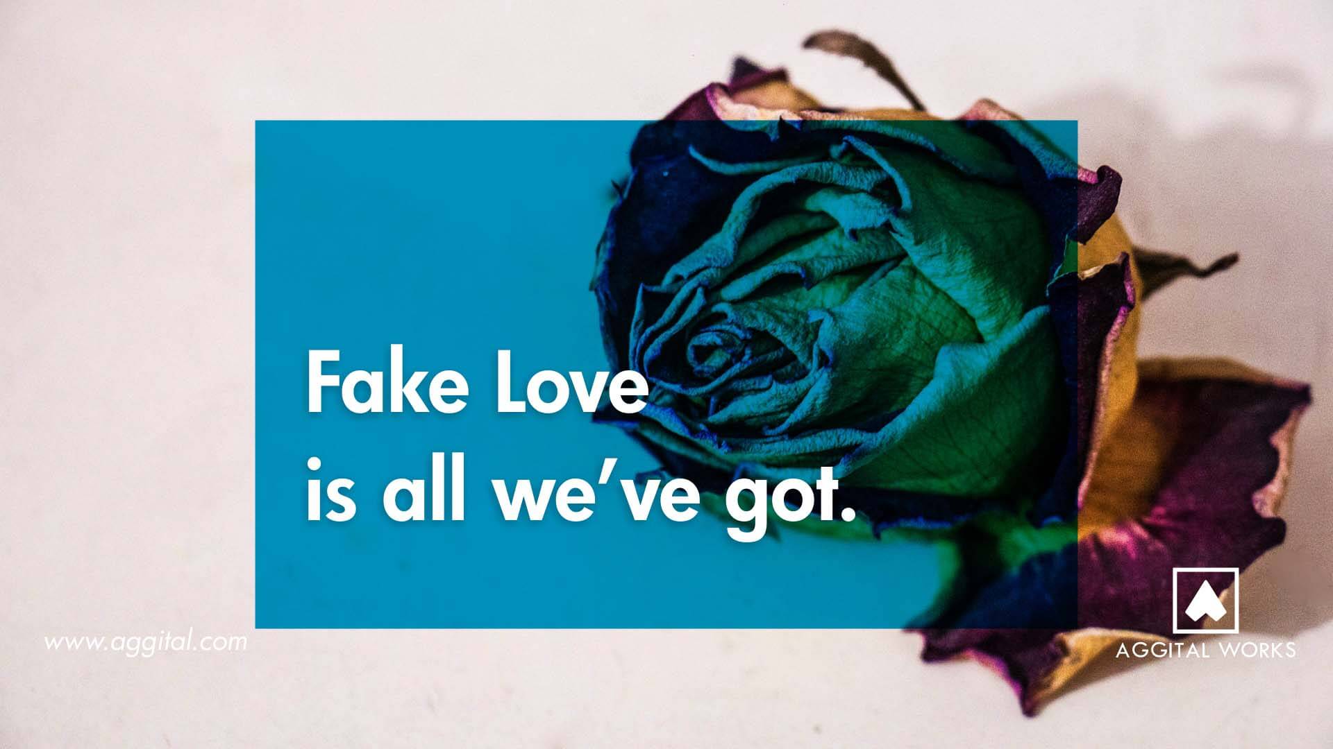 Fake Love Is What We Now Have