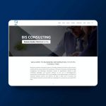 BIS Consulting