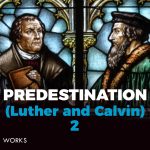 Luther and Calvin on Predestination (Church History) 2
