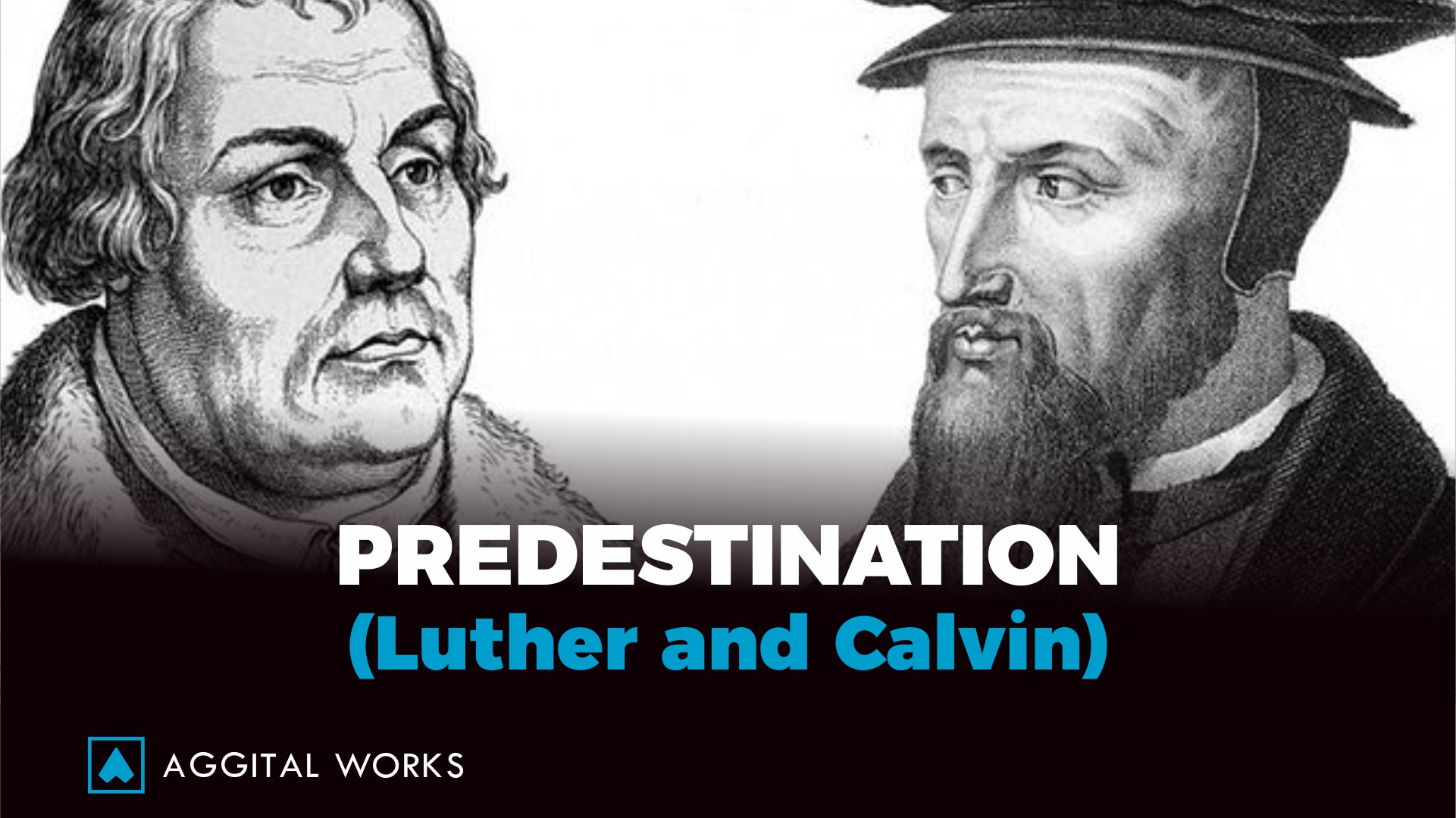 luther an calvin on predestination